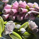 Clinton Smith 2021 Flamework Glass Art Paperweight Pink Foxglove Bouquet