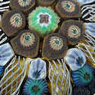 Vintage Strathearn Pressed Star Glass Art Paperweight with Paneled Blue Millefiori