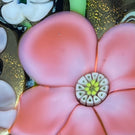 Signed Orient & Flume Torchwork Flowers with Vine on Transparent Dichroic Ground