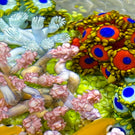Cathy Richardson 2021 Flamework Coral Reef with All Over Surface Engraving 1 of 1