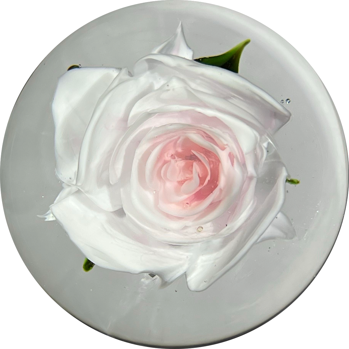 Rick Ayotte 1997 Miniature Flamework Pink Rose Glass Art Paperweight