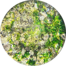 Antique Baccarat Mossy Sand Dune Miniature Glass Art Paperweight