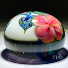 David Lotton 1978 Glass Art Paperweight Torchwork LE Pink "Dua Flora"