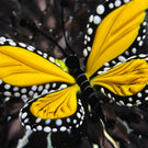 Richard Loesel Flamework Black Dahlia with Hovering Monarch Butterfly One-of-a-Kind Custom Made
