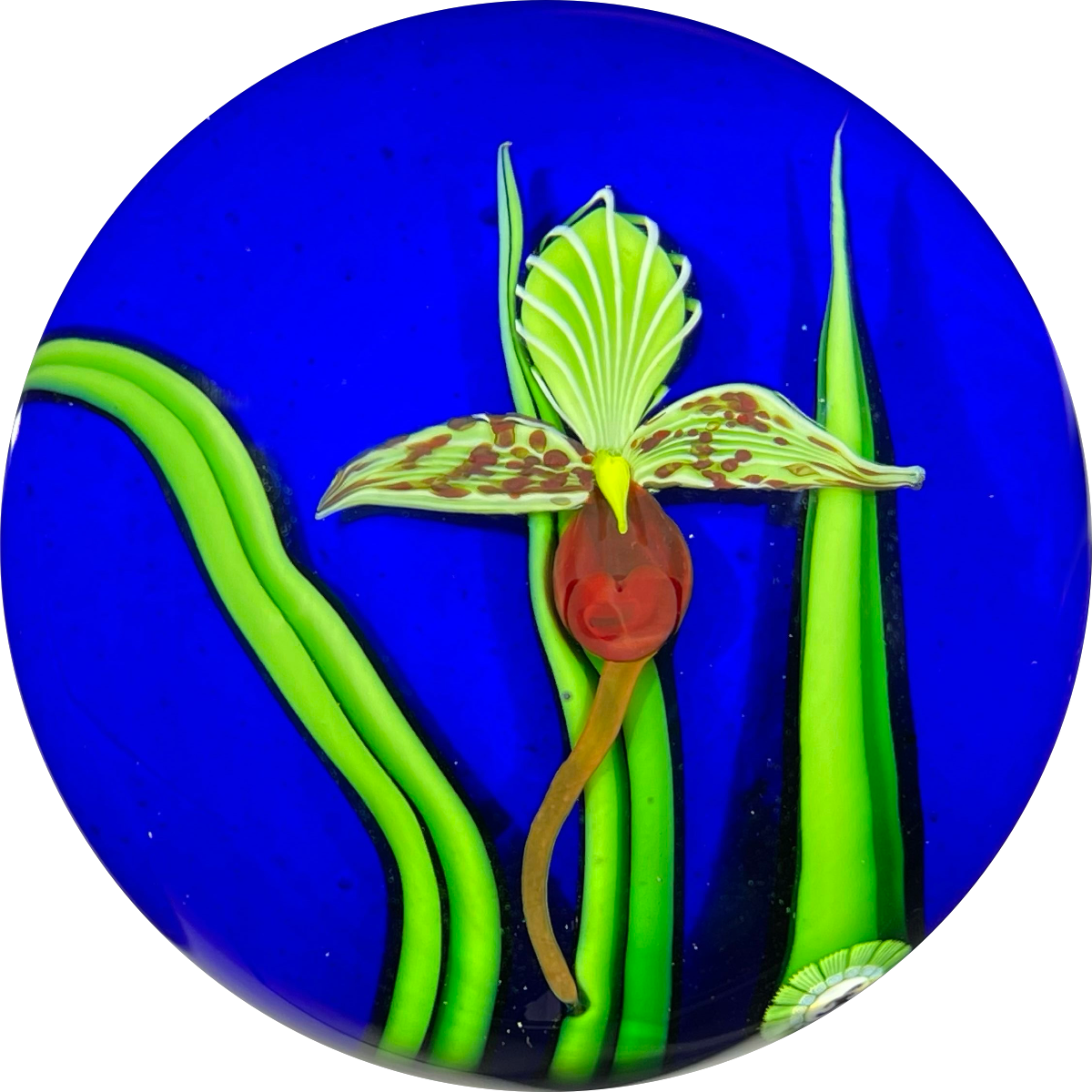 Orient & Flume 1985 Torchwork Lady Slipper Orchid on Blue Ground