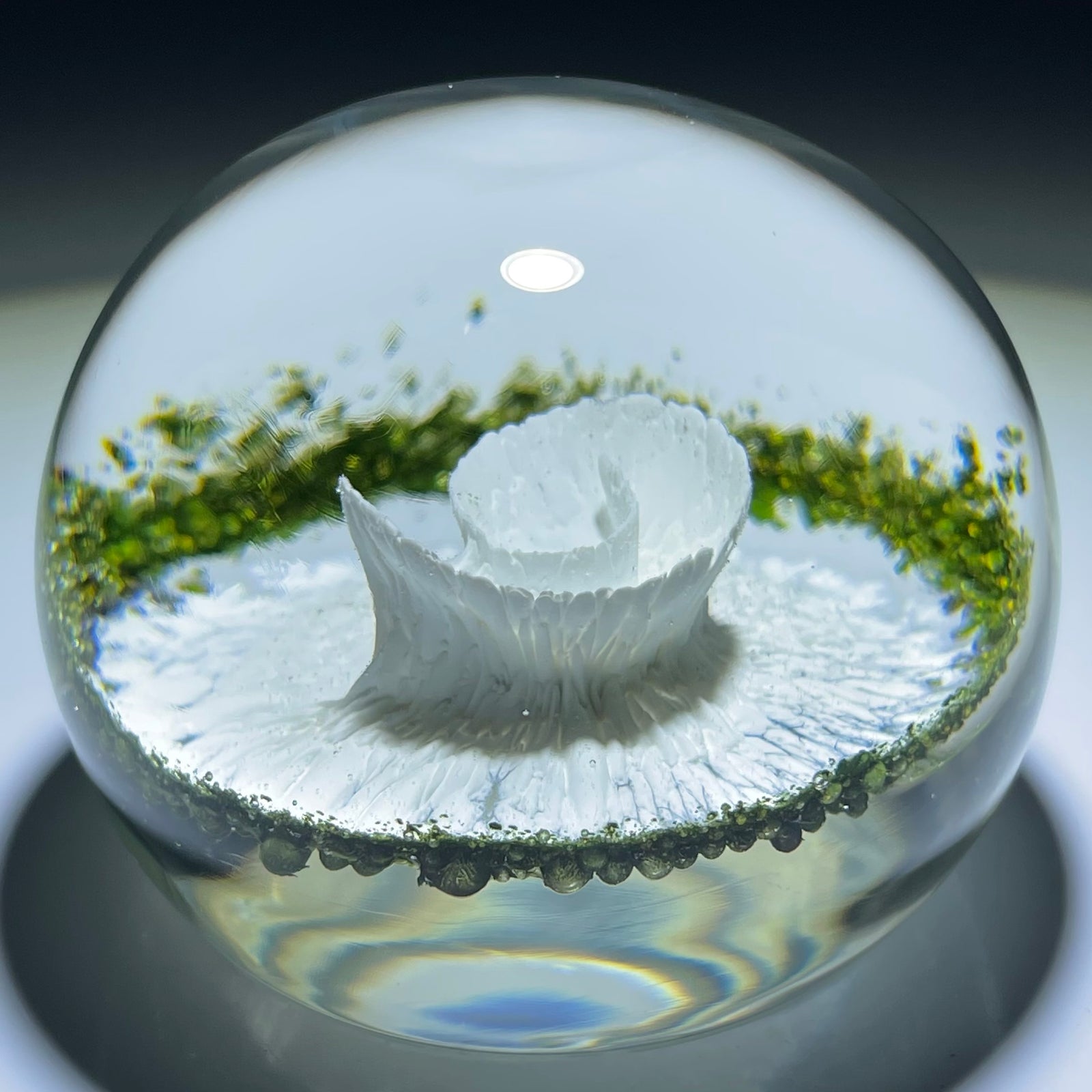 Signed Dominick Labino 1982 Abstract Crimped Coil Design in White and Green Frit