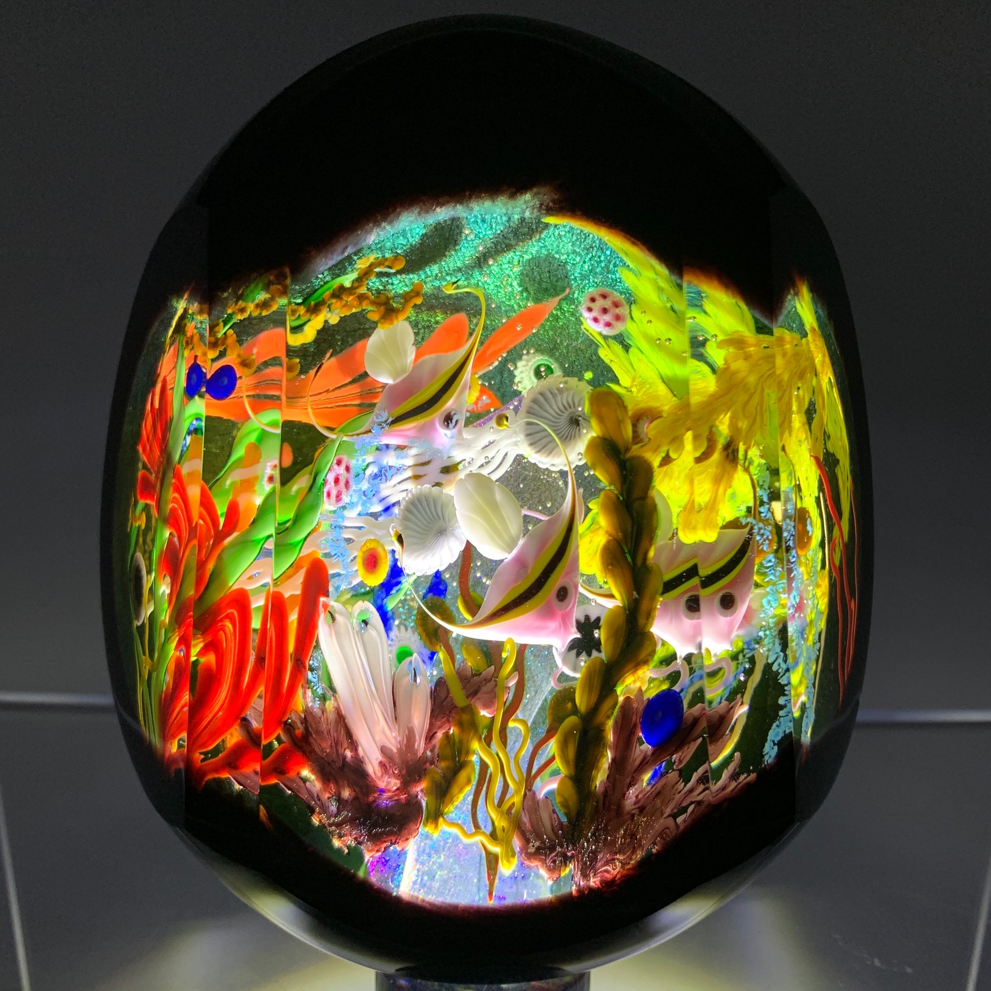 Mayauel Ward 1997 Compound Torchwork Tropical Coral Reef by Night