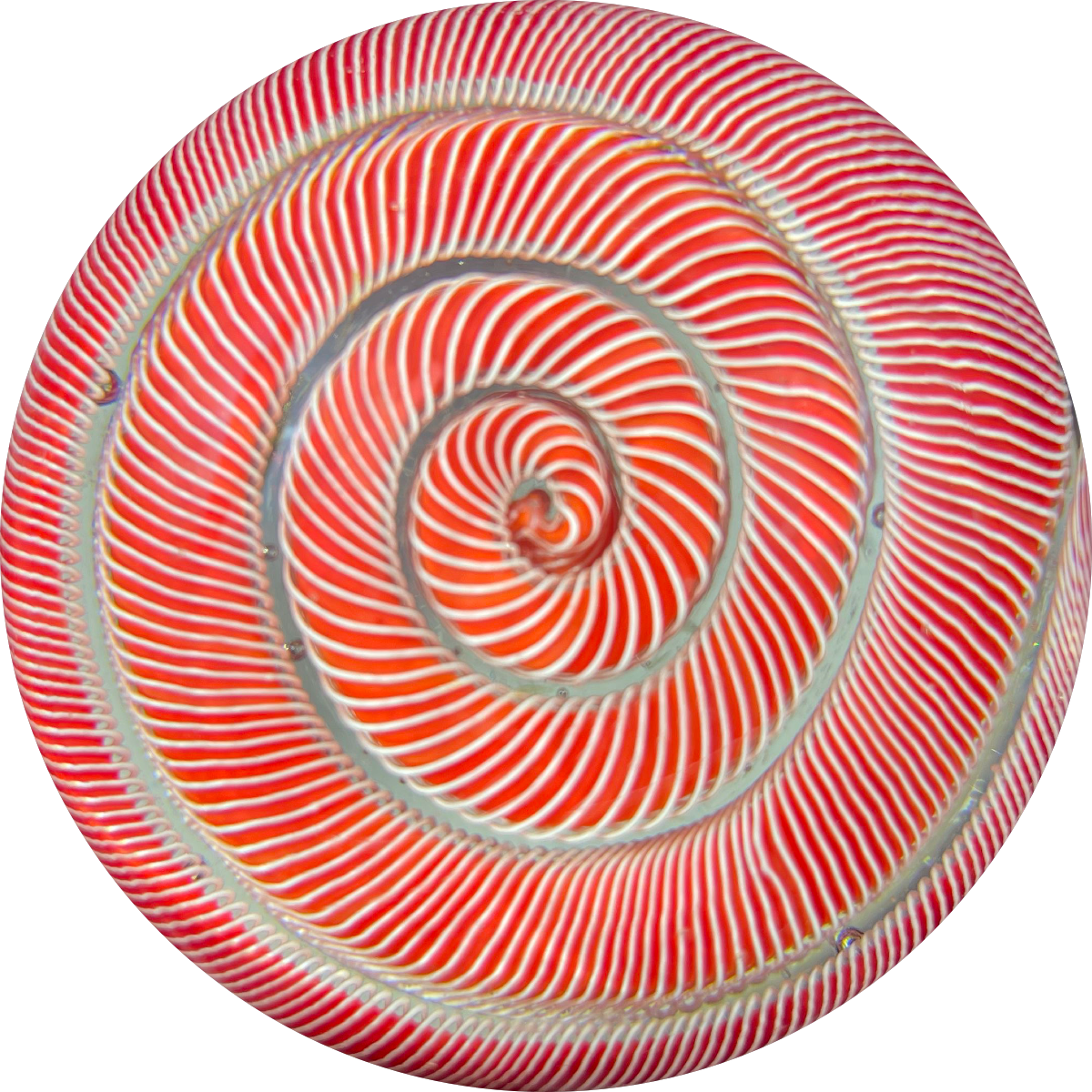 Vintage Murano Glass Art Paperweight Spiral Coiled Red and White Twist