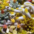 Gordon Smith 2021 Flamework Corn Snake with Succulents and Lichen Covered Rocks
