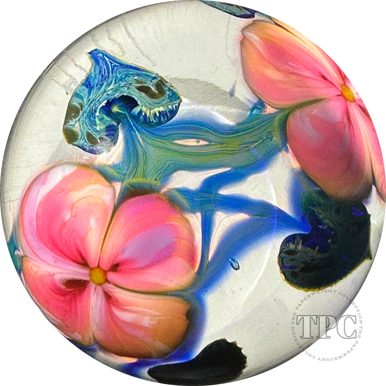 David Lotton 1978 Glass Art Paperweight Torchwork LE Pink "Dua Flora"