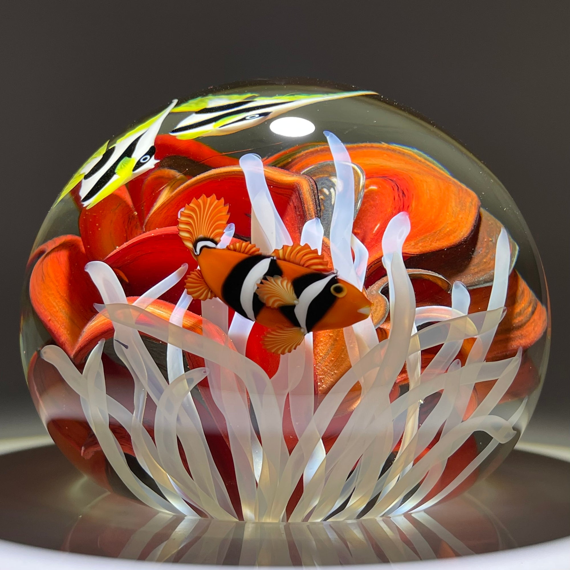 Huge 10lb+ Orient & Flume Torchwork Coral Reef & Tropical Fish Glass A