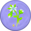 Perthshire Paperweights 1974B LE Flamework Flowers and Buds on Opaque Lavender Ground