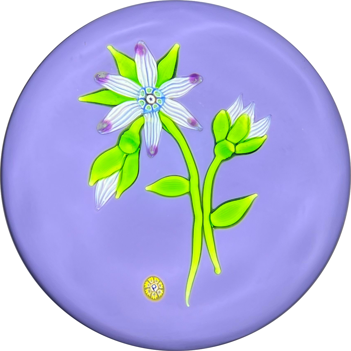 Perthshire Paperweights 1974B LE Flamework Flowers and Buds on Opaque Lavender Ground