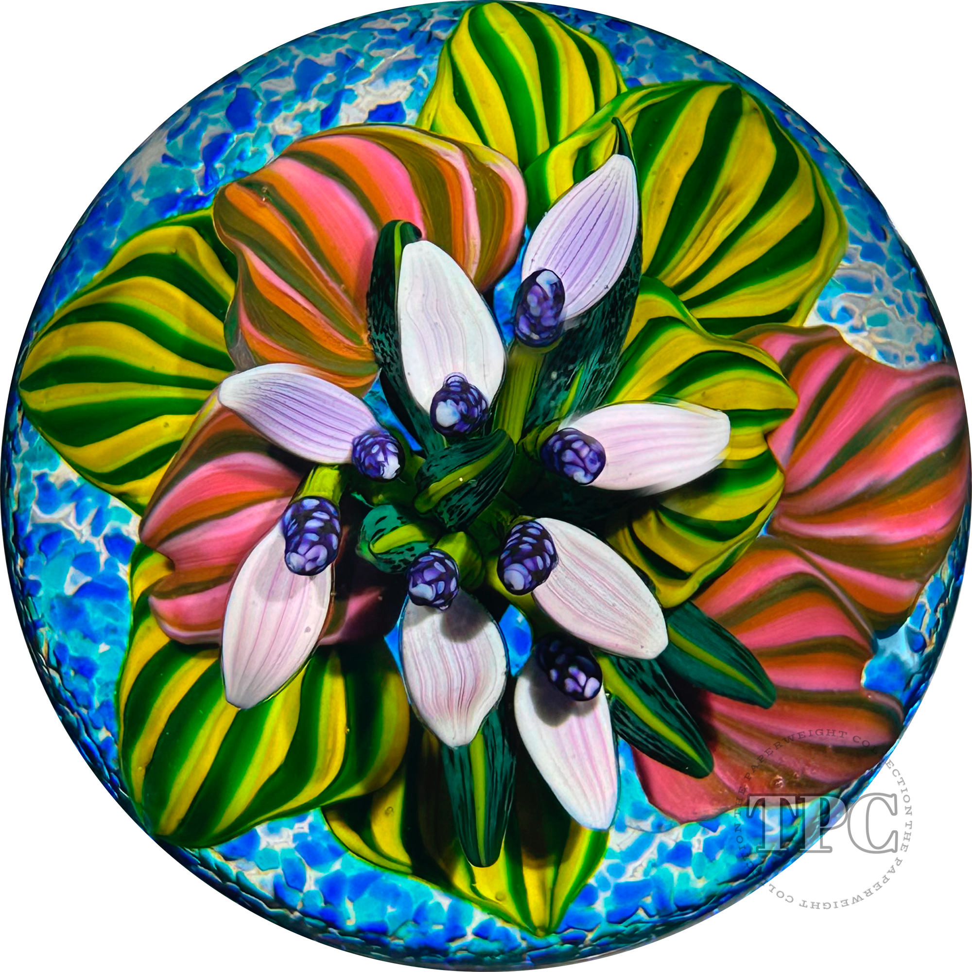 Cathy Richardson 2013 Glass Art Paperweight Flamework Purple Tropical Flowers from the Brazilian Series 2 of 8