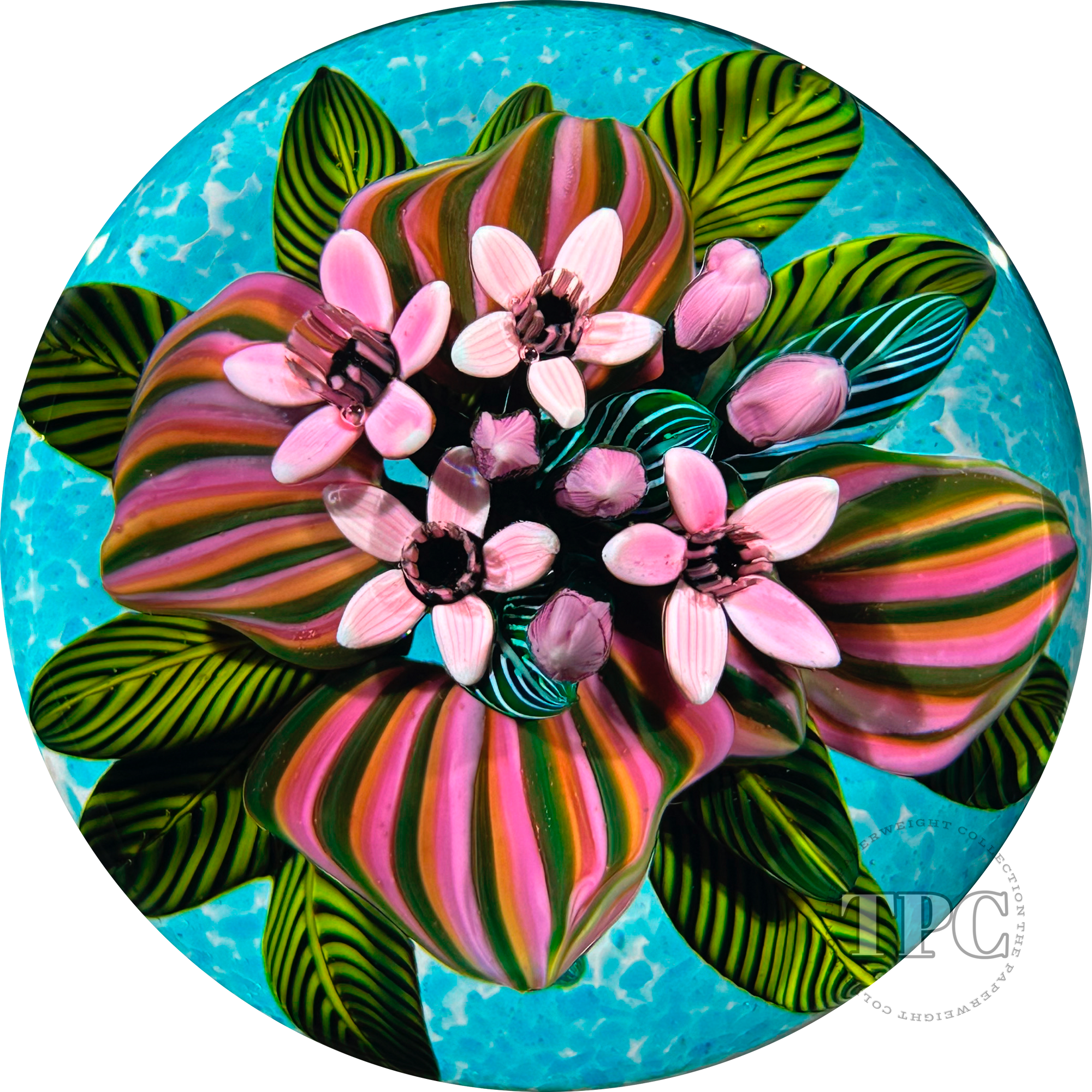 Cathy Richardson 2014 Glass Art Paperweight Flamework Mauve Tropical Flowers from the Brazilian Series 5 of 8