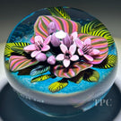 Cathy Richardson 2014 Glass Art Paperweight Flamework Mauve Tropical Flowers from the Brazilian Series 5 of 8