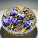 Clinton Smith 2021 Flamework Purple Crocuses With Granite Stones Glass Art Paperweight