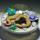 Ken Rosenfeld 2022 Glass Art Paperweight Flamework Brown Scaled Snake on Sand with Pebbles & Perennial Flowers