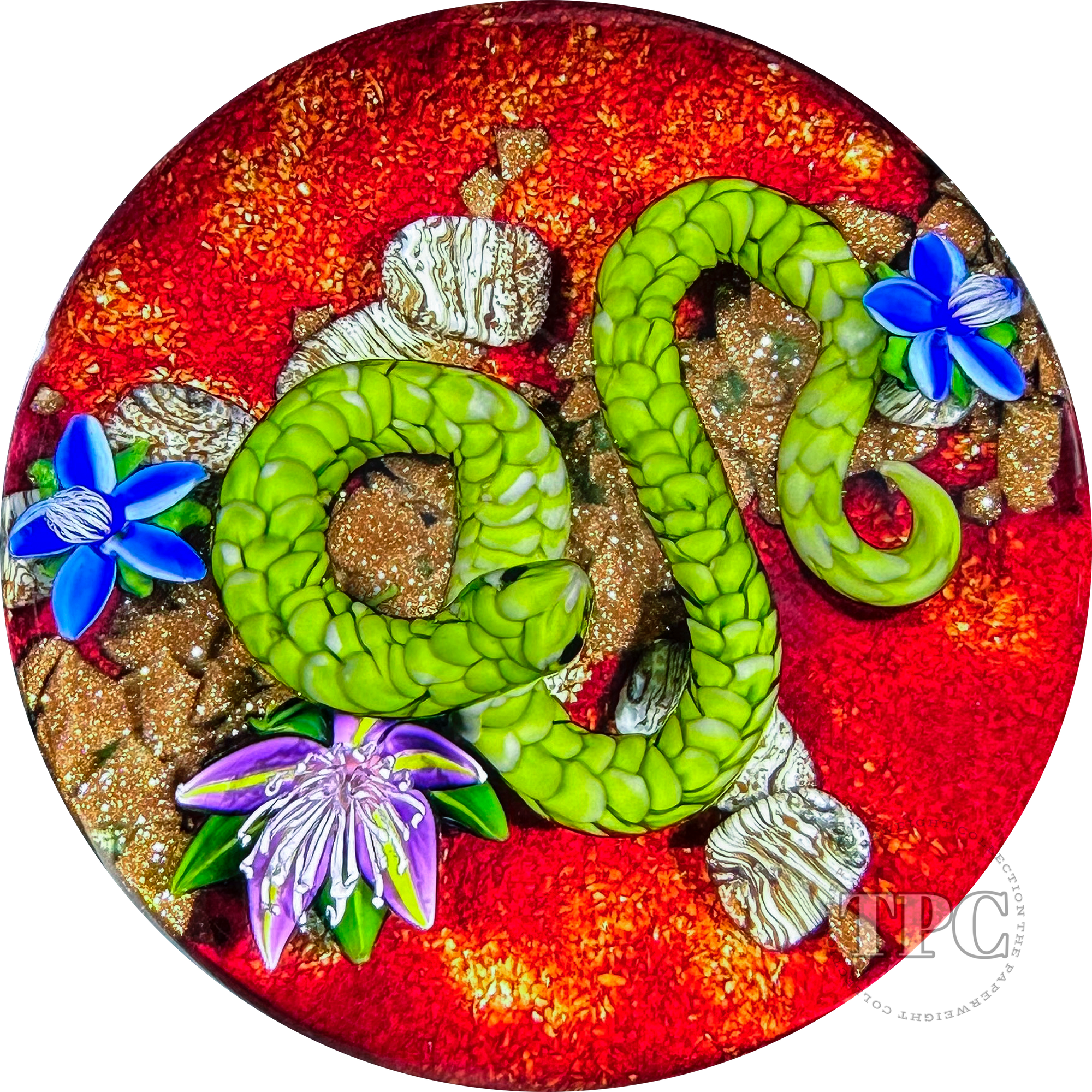 Ken Rosenfeld 2023 Glass Art Paperweight Flamework Green Scaled Snake on Red Sand with Pebbles, Aventurine, and Perennial Flowers