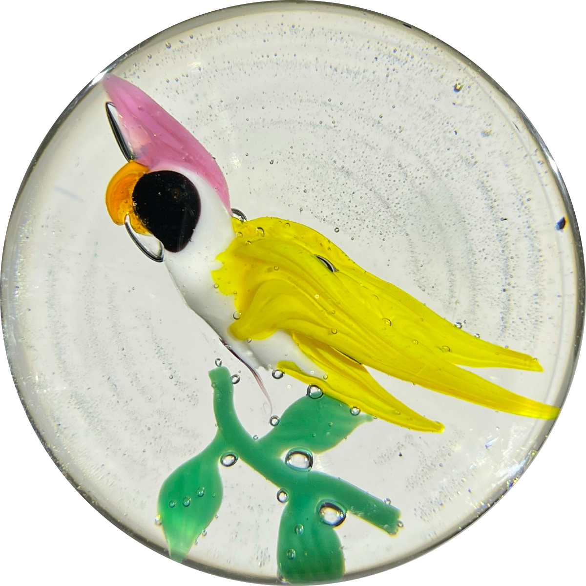 Signed Harold Hacker 1967 Flamework Pink Crested Yellow Cockatiel Parrot on Clear