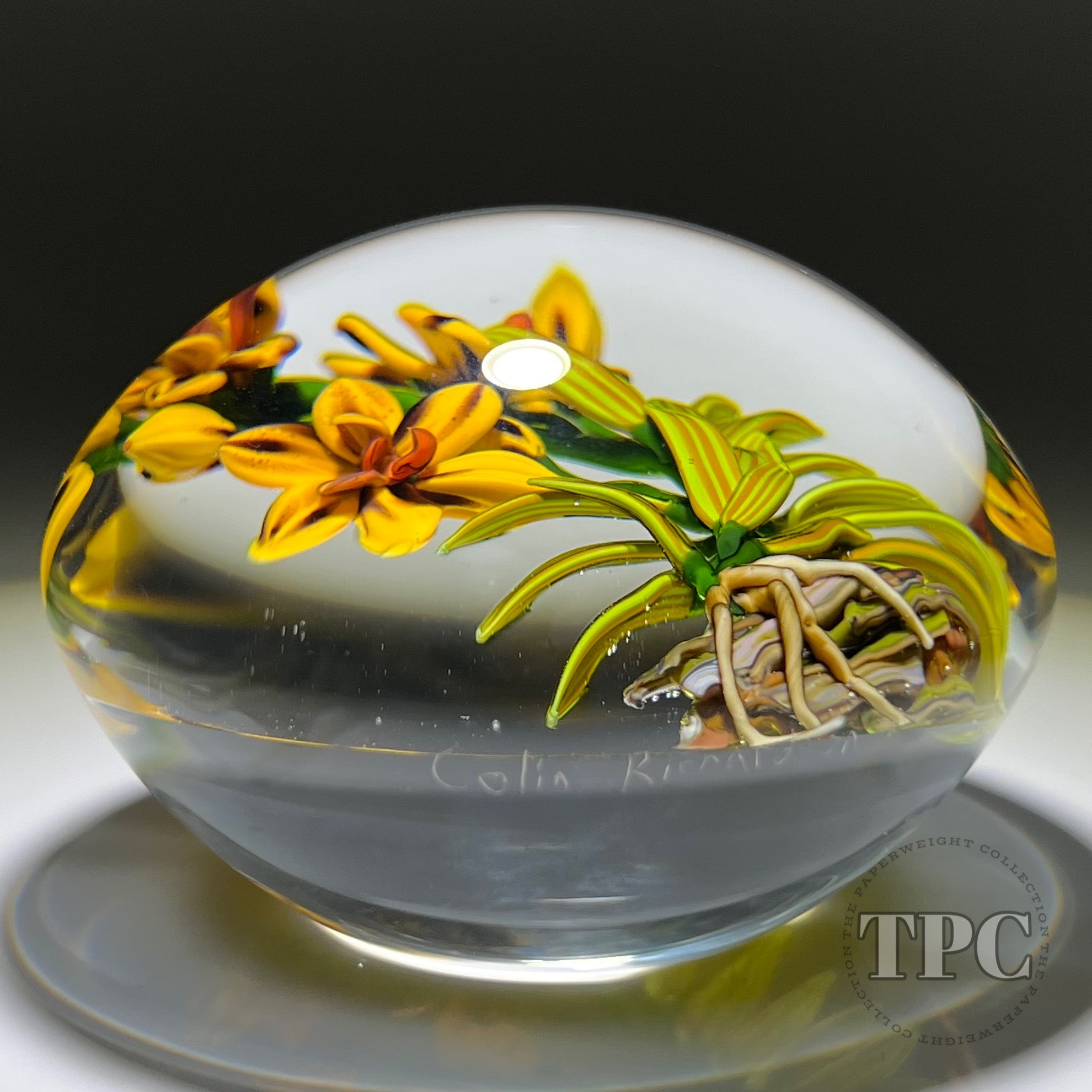 Colin Richardson 2022 Glass Art Paperweight Flamework Yellow Vanda Orc