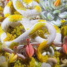 Gordon Smith 2021 Flamework Corn Snake with Succulents and Lichen Covered Rocks