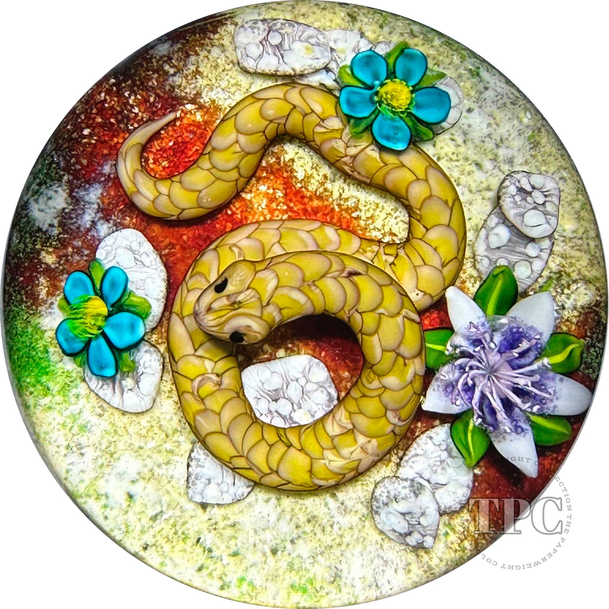 Ken Rosenfeld 2022 Glass Art Paperweight Flamework Brown Scaled Snake on Sand with Pebbles & Perennial Flowers