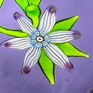 Perthshire Paperweights 1974B LE Flamework Flowers and Buds on Opaque Lavender Ground