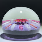 Harland Era Paul Ysart Attributed Flamework Pink & Aventurine Clematis on Lilac Ground with Filigree Radials