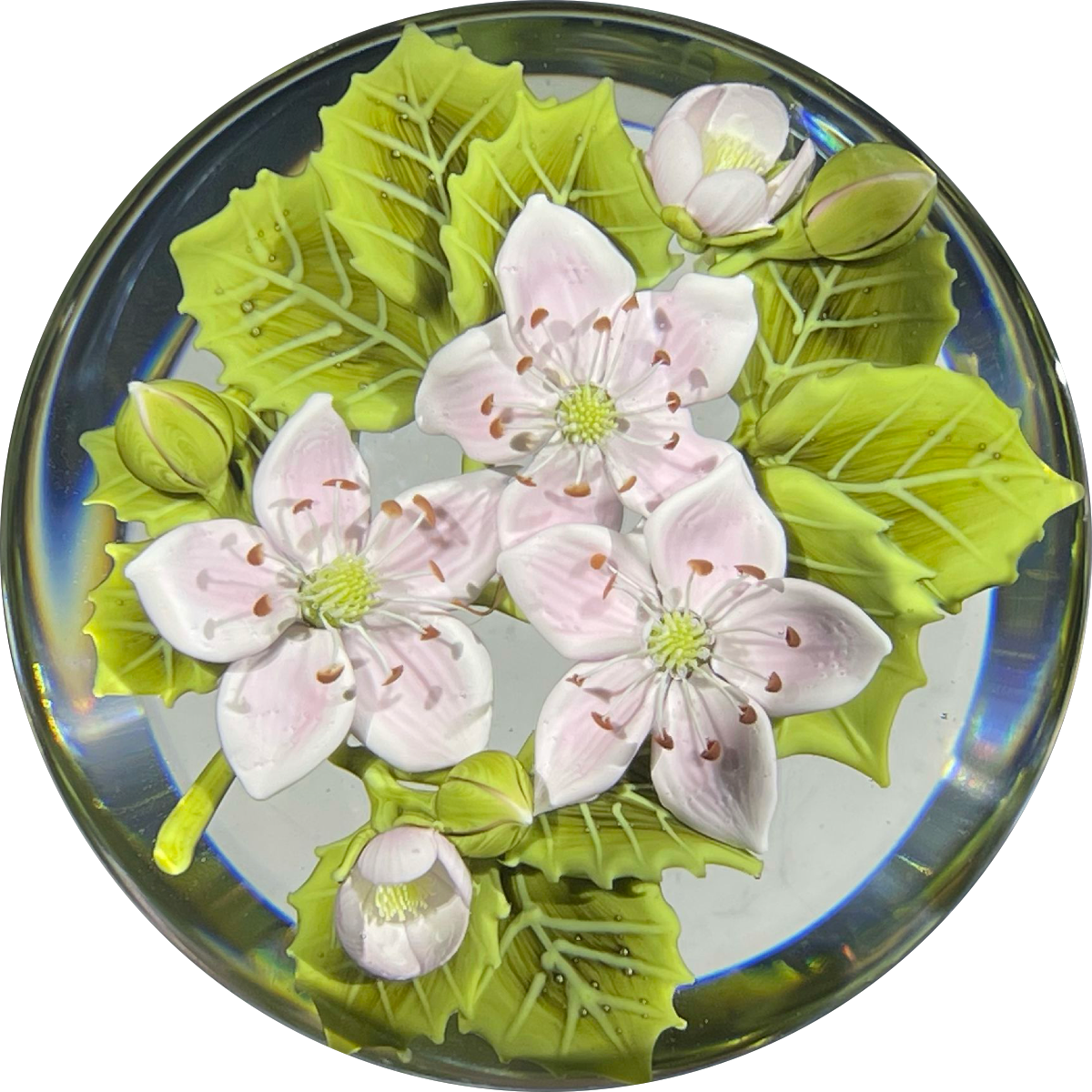 Clinton Smith 2021 Flamework Pink Black Berry Blossoms on Clear Ground