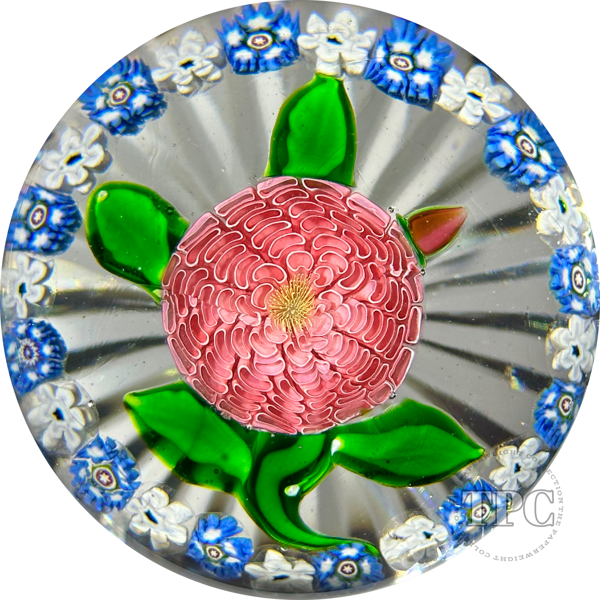 Antique Saint-Louis Glass Art Paperweight Lampwork Pink Pompon Blossom with Blue and White Millefiori Garland