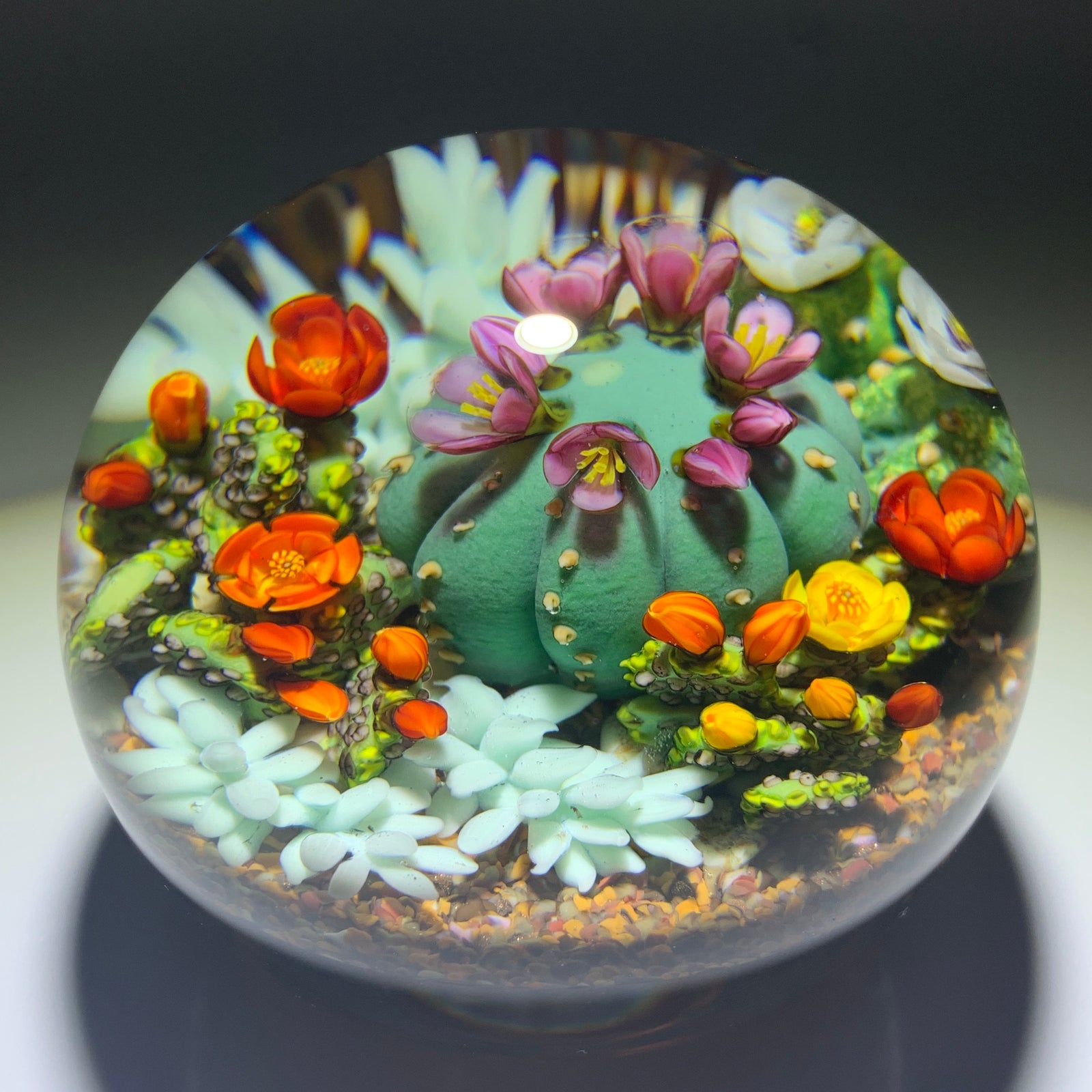 Cathy Richardson 2020 One-Of-A-Kind Flamework Flowering Cacti Barrel Cactus