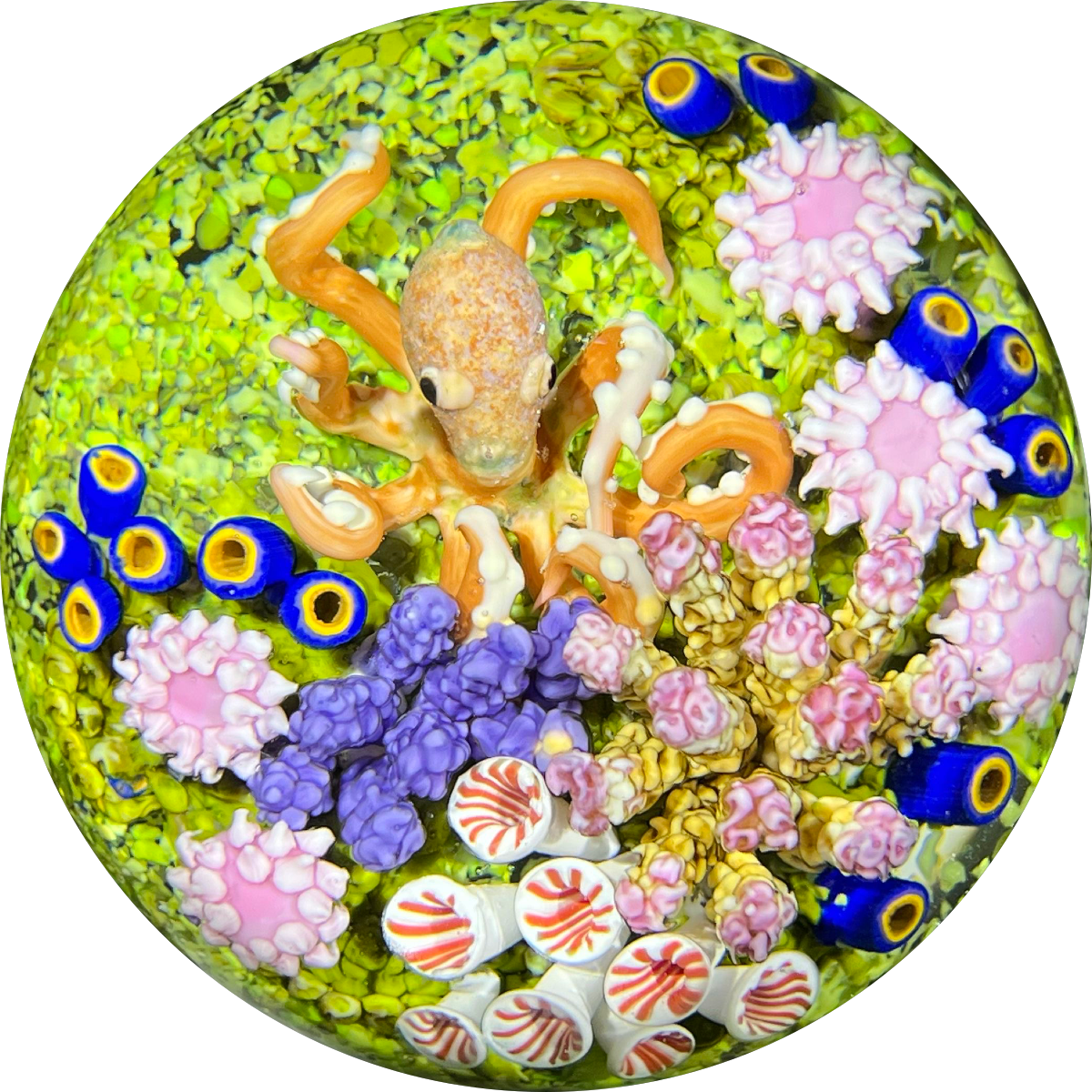 Cathy Richardson 2021 Flamework Glass Art Paperweight Octopus with Coral