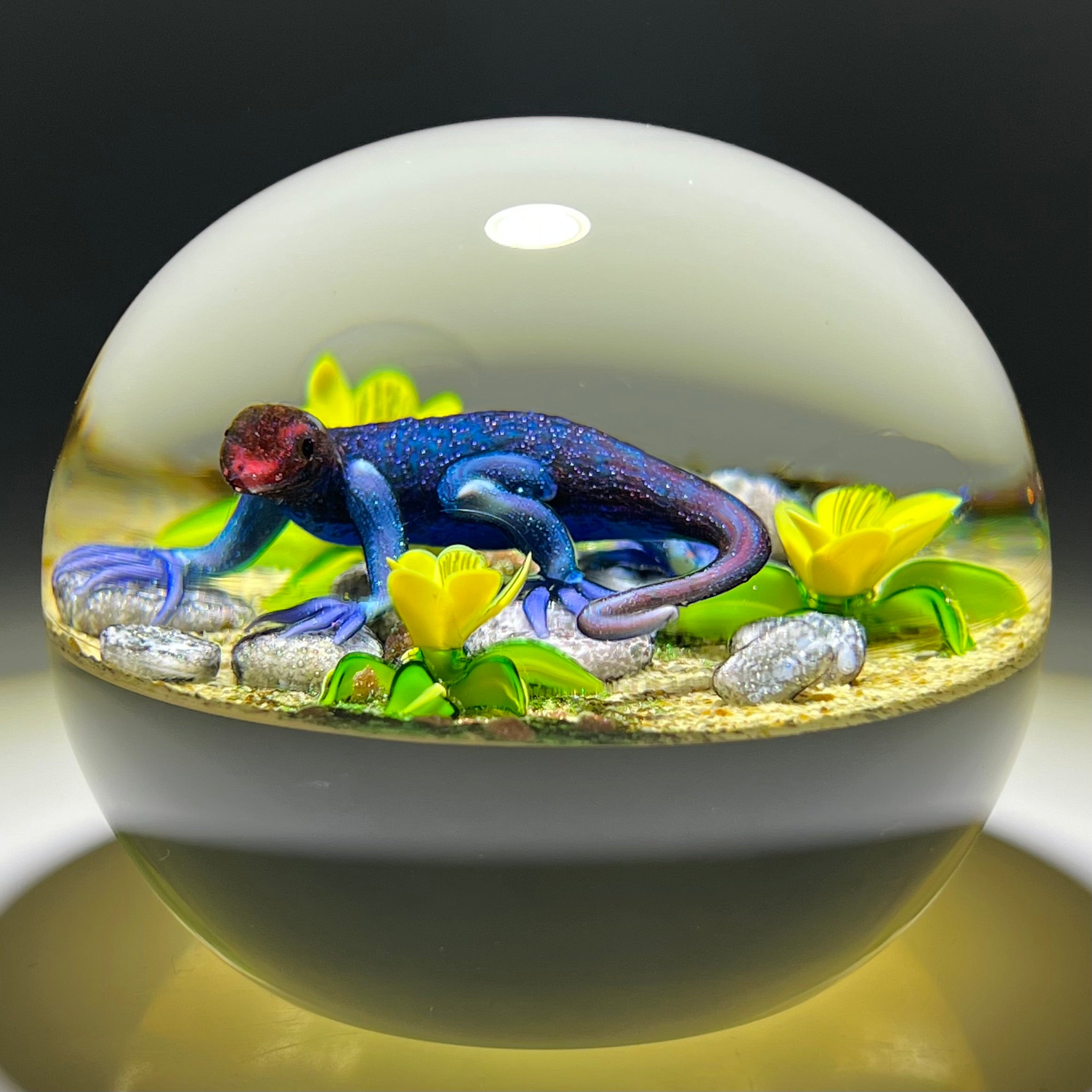 Ken Rosenfeld 2021 Flamework Glass Art Paperweight African Agama Lizar