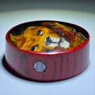 Signed Mathieu Grodet 2021 Murrine Green Eyed Lion End-Cane Paperweight