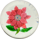 Antique Boston & Sandwich Lampwork Poinsettia on Clear Ground