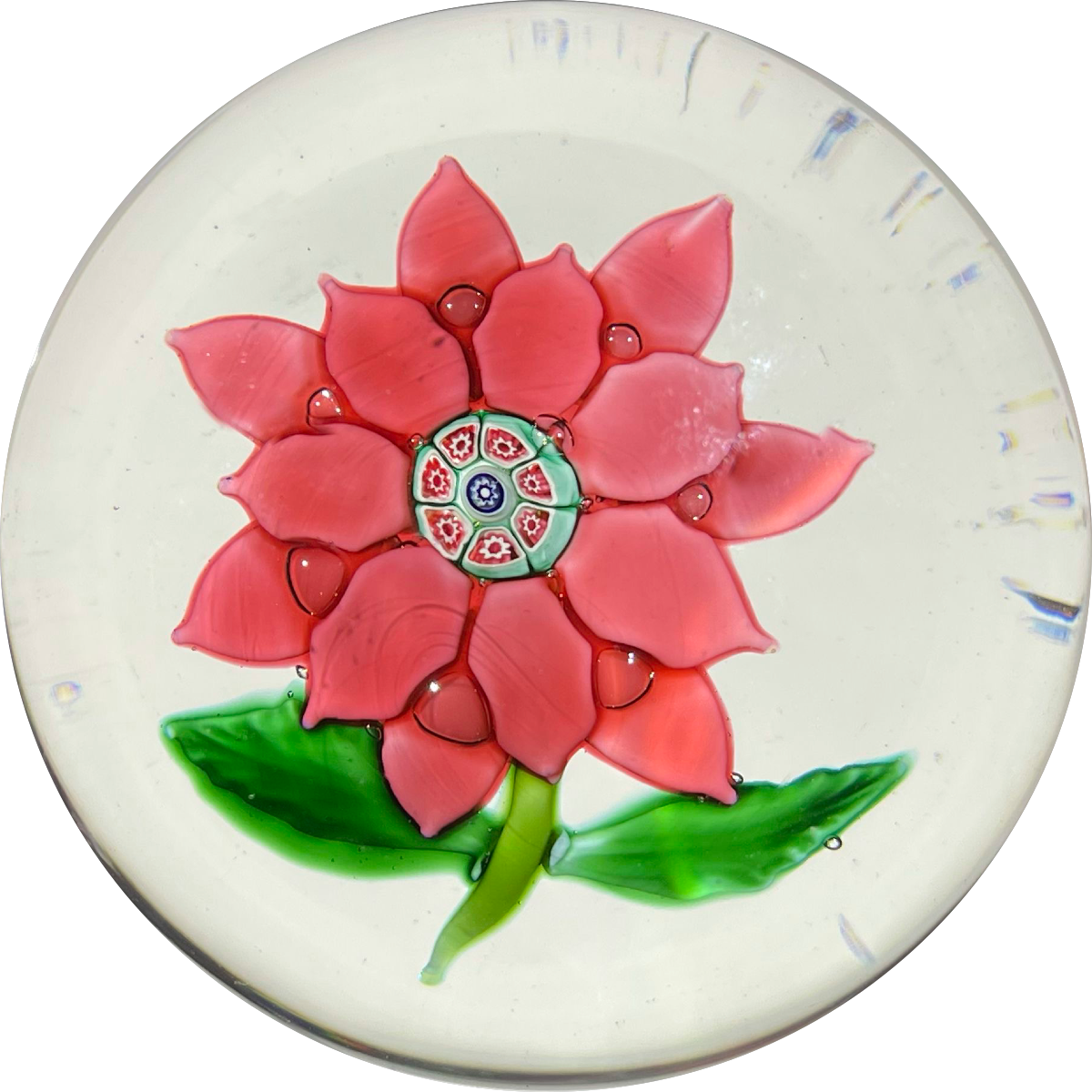 Antique Boston & Sandwich Lampwork Poinsettia on Clear Ground