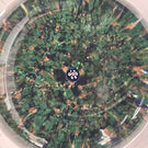 James Hart Complex Concentric Millefiori w/ Roses on Aventurine Ground Glass Art Paperweight