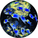 Cathy Richardson 2015 Torchwork School of Blue Fish over a Mottled Dichroic Blue/Black Seafloor