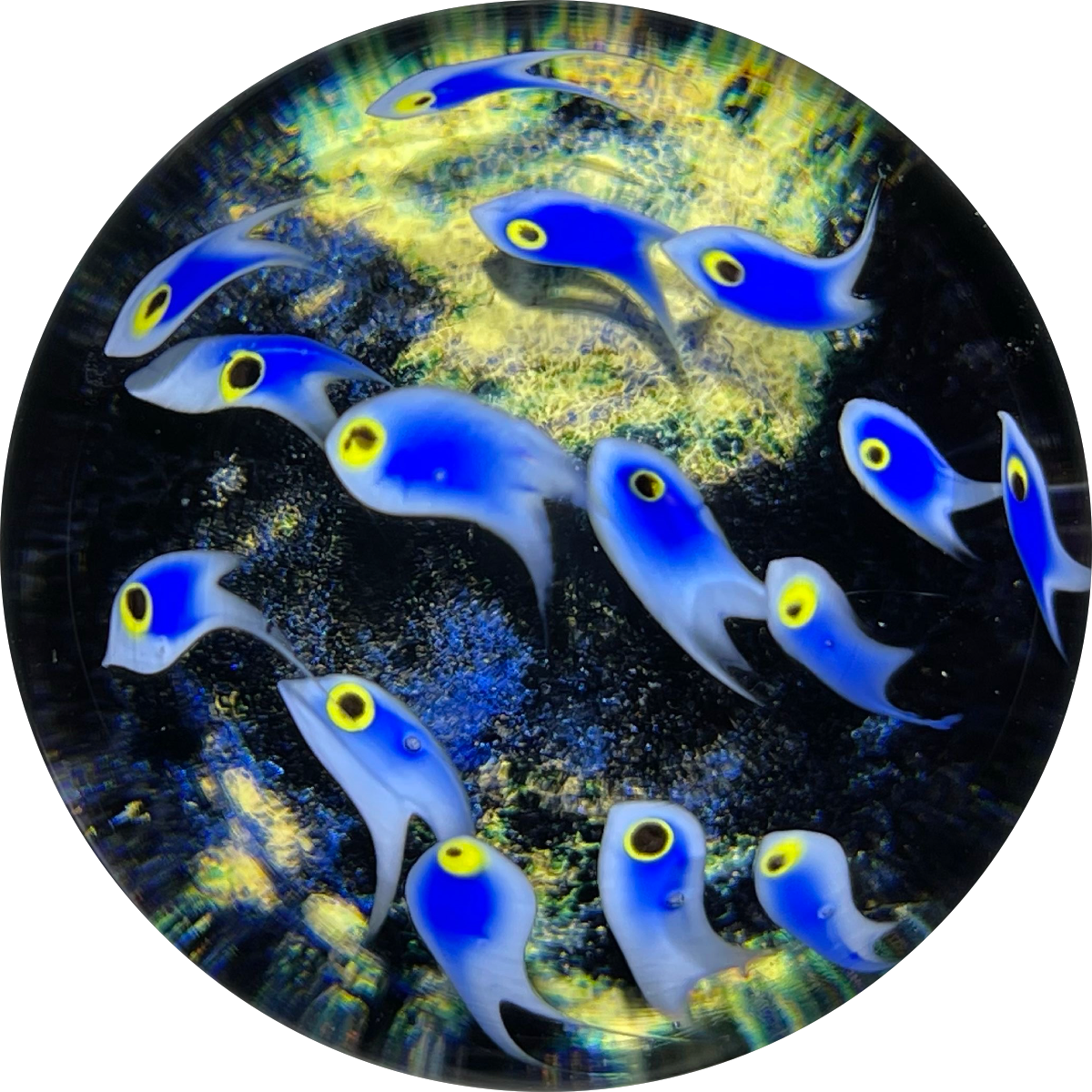 Cathy Richardson 2015 Torchwork School of Blue Fish over a Mottled Dichroic Blue/Black Seafloor