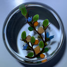 Colin Richardson 2009 Flamework Flowers and Fruits