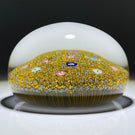 Baccarat Crystal 1969 Complex Millefiori Carpet Ground with Zodiac Silhouette Canes