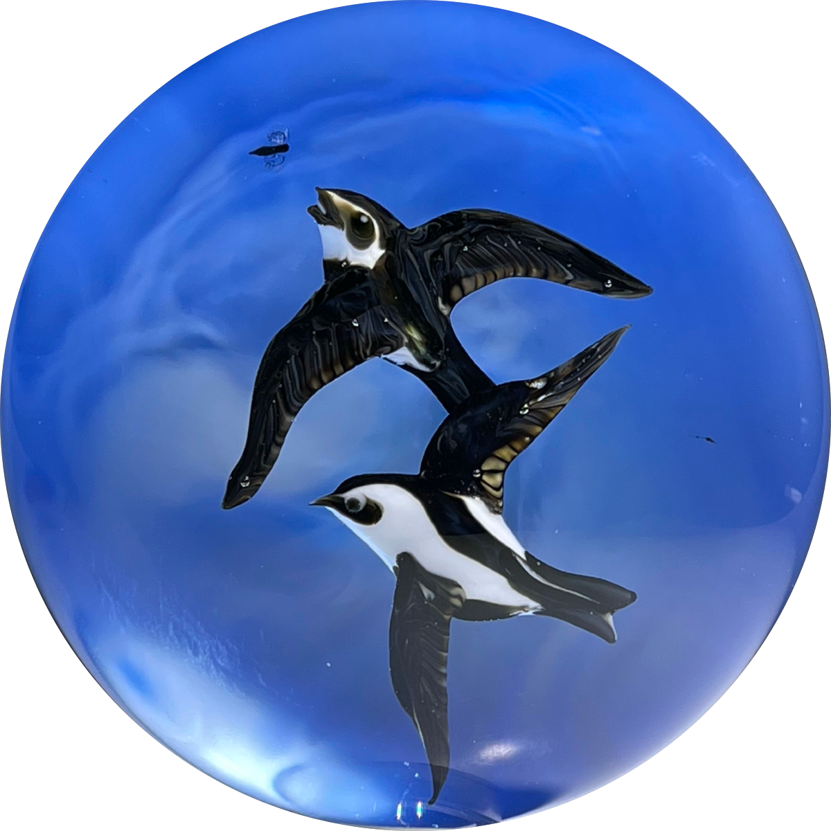 Rick Ayotte 1983 Flamework White Throated Swallows Chasing a Fly With Blue Sky