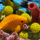Gordon Smith 2021 Flamework Coral Reef Scene with Krait Sea Snake and Wrasse Fish