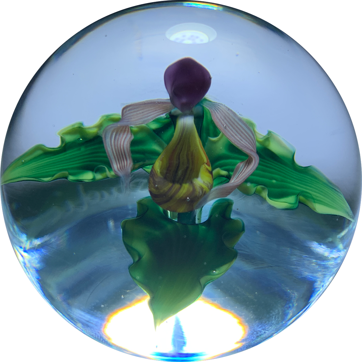 Daniel Salazar Lundberg Studios 1987 Compound Torchwork Purple Lady Slipper