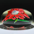 Antique Boston & Sandwich Lampwork Poinsettia on Clear Ground