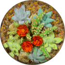 Cathy Richardson 2020 One-Of-A-Kind Miniature Flamework Flowering Cacti & Succulents