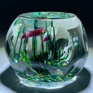 Perthshire Paperweights 1980 Limited Edition Annual Collection Flamework Tropical "Fish" with Kelp