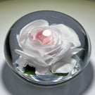 Rick Ayotte 1997 Miniature Flamework Pink Rose Glass Art Paperweight