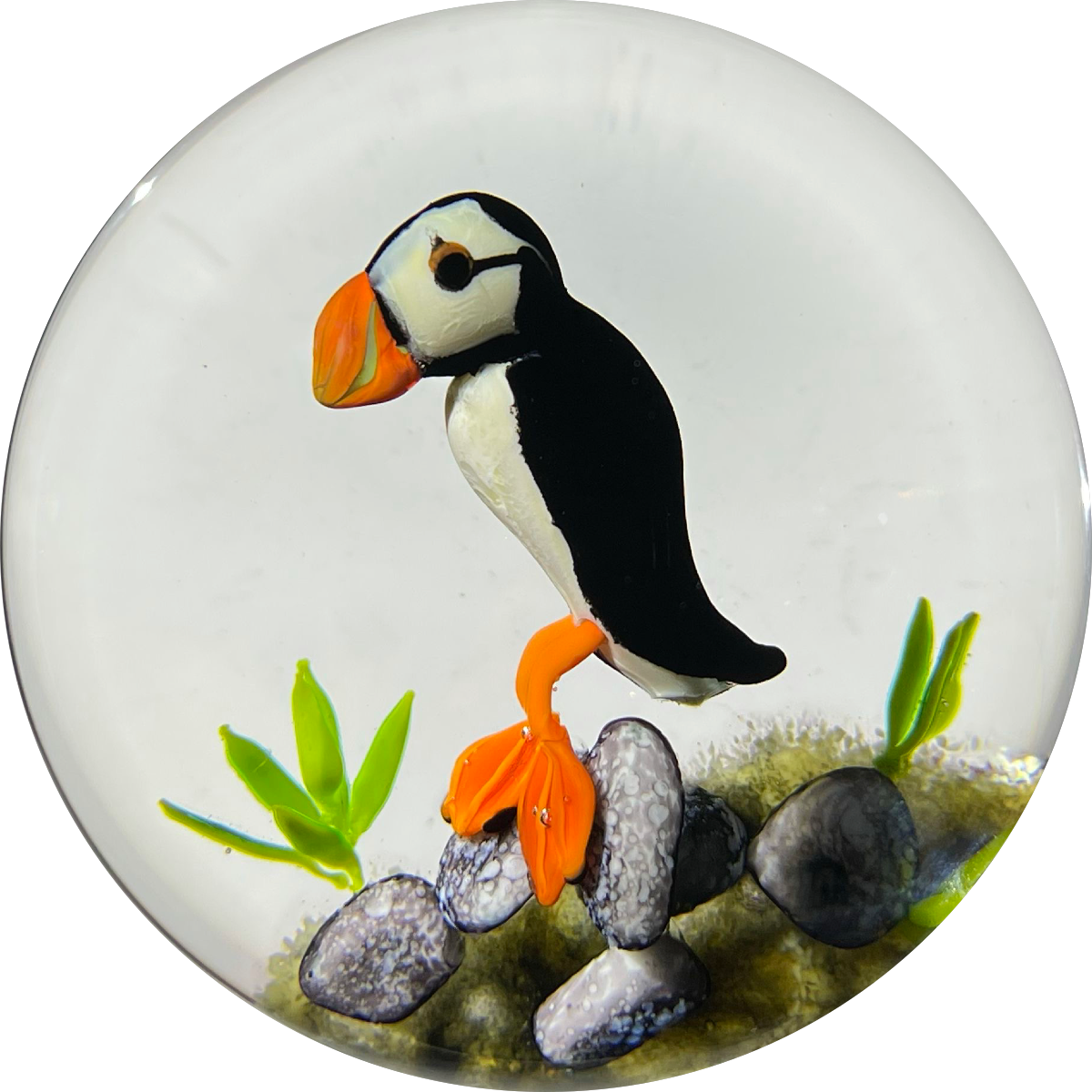 Ken Rosenfeld 2021 Flamework Puffin Seabird on Shoreline Rocks